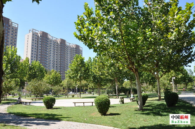 �����г��н���